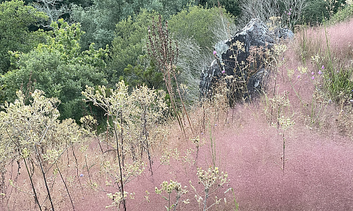 Natureza de Gondomar
